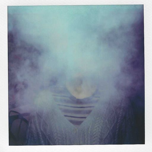 C A T F O O D - January 2024