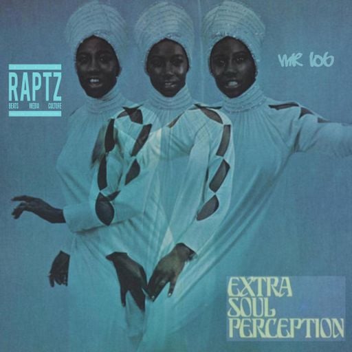 EXTRA SOUL PERCEPTION #5 MR LOB
