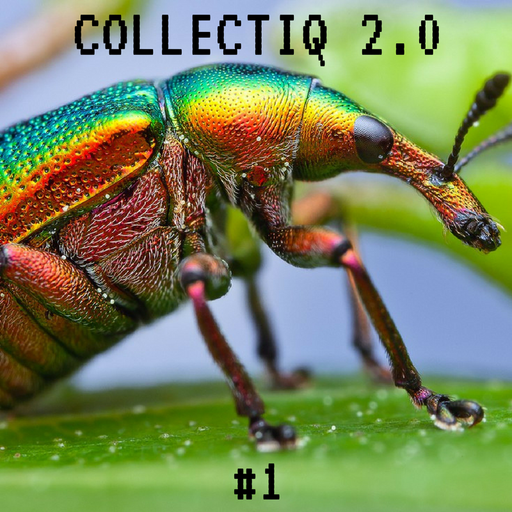 Collectiq 2.0 #1: Insects Are All Around Us