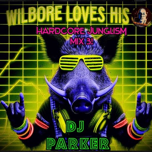 WILDBORE LOVES HIS HARDCORE JUNGLISM mix3 TIKTOK SESH
