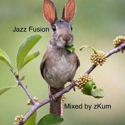 Jazz Fusion
