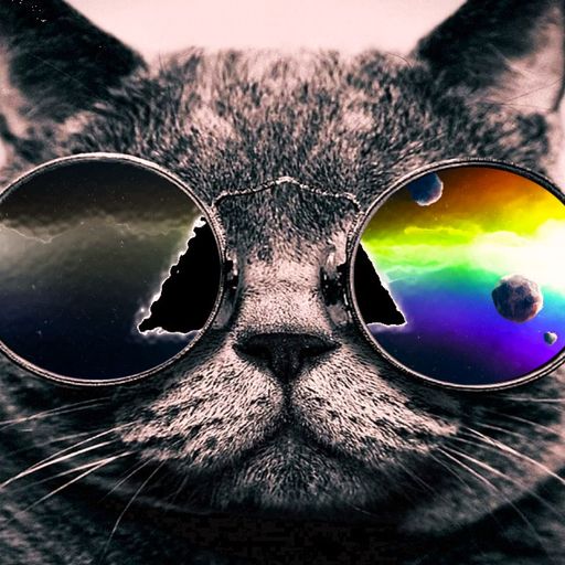 Year of the Cat (ExtendedPop&Rock)