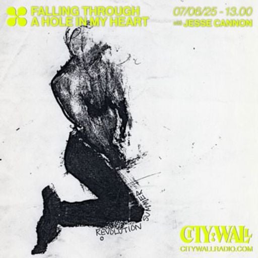 Falling Through A Hole In My Heart w/ Jesse Cannon - June 2025