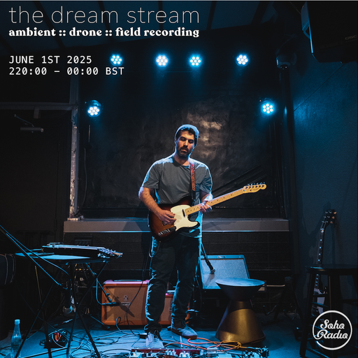The Dream Stream Guest Mix - Seawindofbattery (01/06/2025)