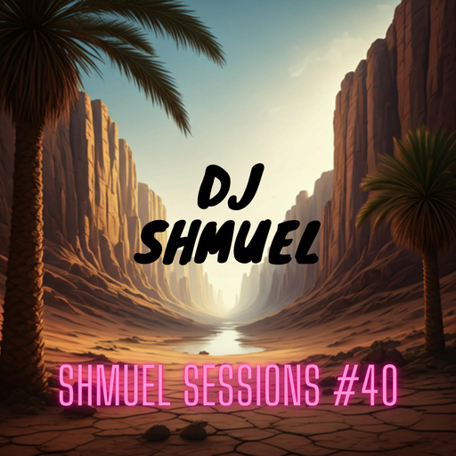 Shmuel Sessions #40 - 26 December 2024