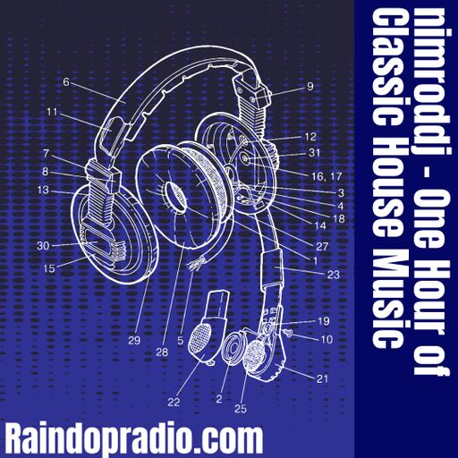 NimrodDJ -  2025.03.07 - one hour of house music