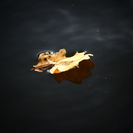 Drifting / Searching