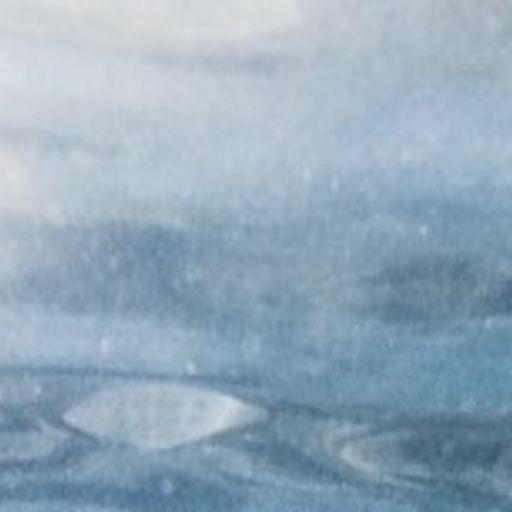 Naviar Broadcast #296 - Two Seahorses - 6th December 2023