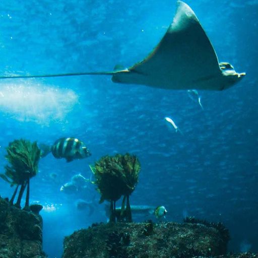 THE GLOBAL GLITCH 92