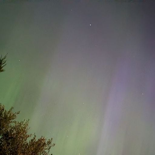 The Early Bird Show w/ TROTH - 24th March 2026