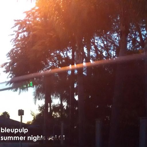 bleupulp - summer nights vol.01