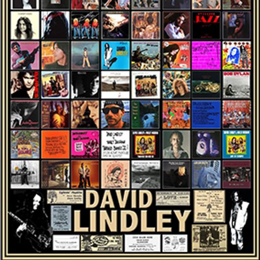 Live Archive Show #228 (Tribute to multi-instrumentalist David Lindley)