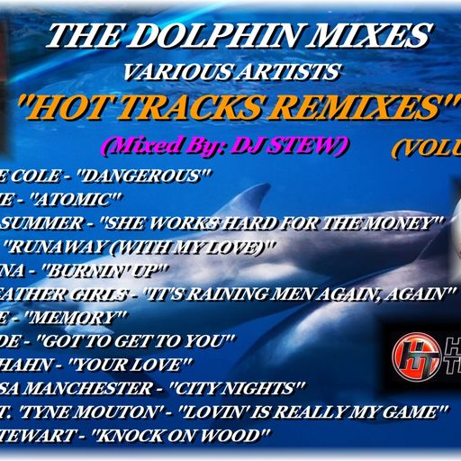 THE DOLPHIN MIXES - VARIOUS ARTISTS - ''HOT TRACKS REMIXES'' (VOLUME 36)