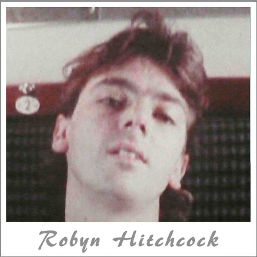 Robyn Hitchcock - by Babis Argyriou