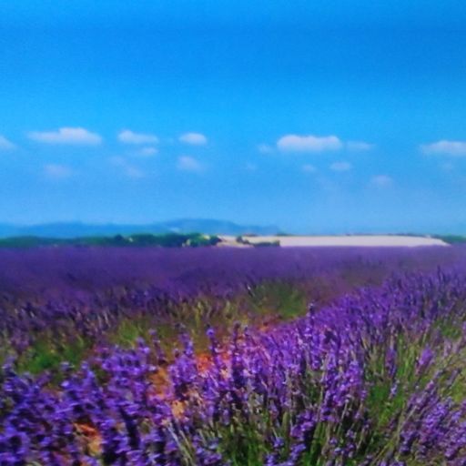 DREADheadz 23 PROF homerec 127 vom 15.10.2024