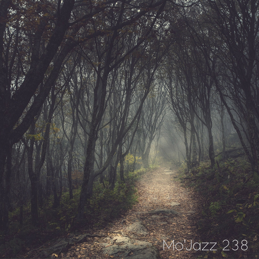 Mo'Jazz 238: Mystery