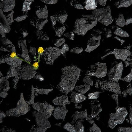 Coal Songs (for Earth Day) - Musics of the World 22/04/18  WXUT