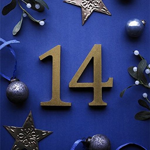 25 Sets to Christmas No 14 (141223)