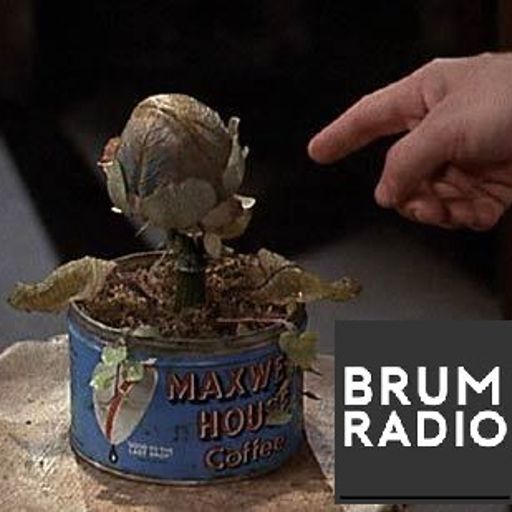 ScreenBrum - FLOWERS! (24/05/2019)