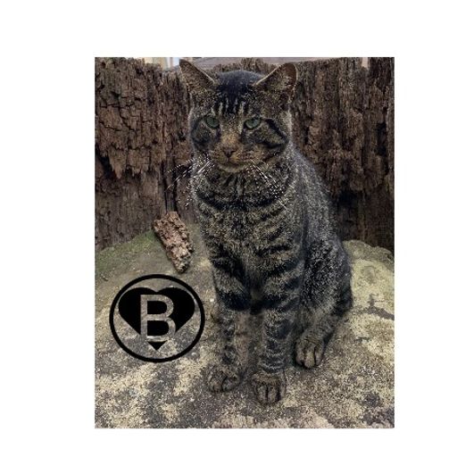 Brother Love's Deep Grooves from the Grove.... Sonny's Mix