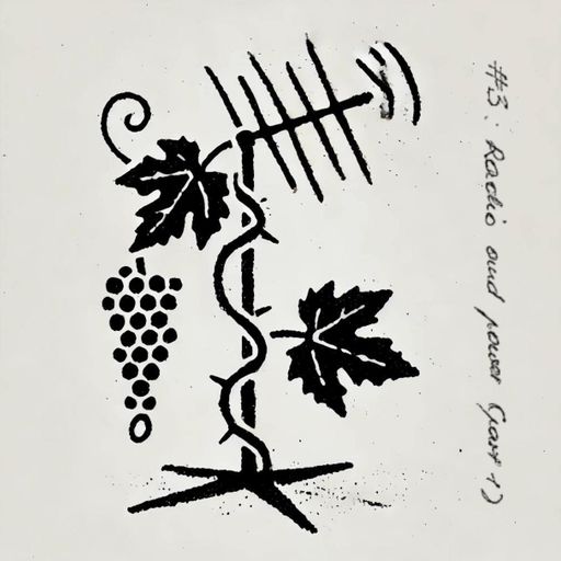 The Grapevine #3: Radio and Power 24.10.2025