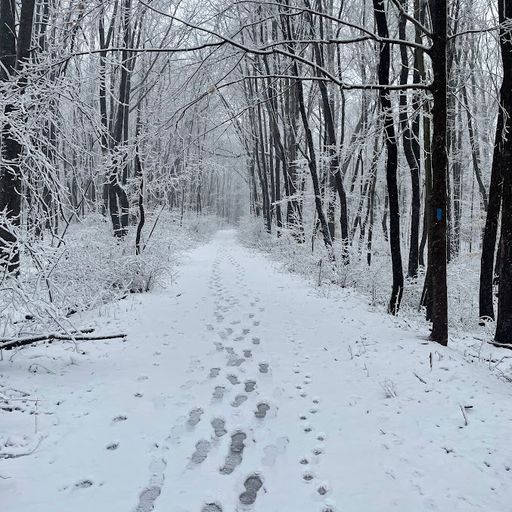 Brother Love's Deep Grooves from the Grove presents : Footsteps in Faith