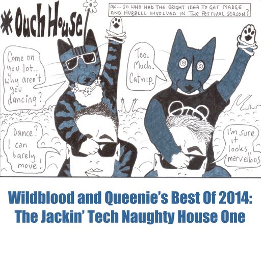 Wildblood + Queenie's Best of 2014 - The Jackin' Tech Naughty House One