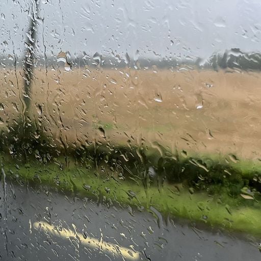The Slip - 7th September 2025