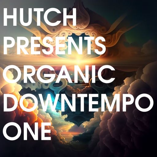 HUTCH PRESENTS ORGANIC DOWNTEMPO ONE