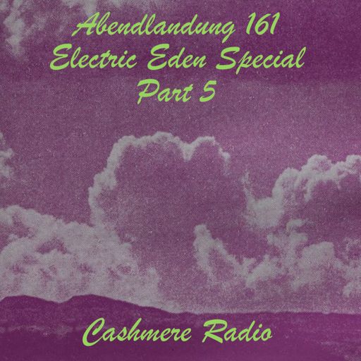 Abendlandung # 161 - Electric Eden Special, Part 5 19.08.2024