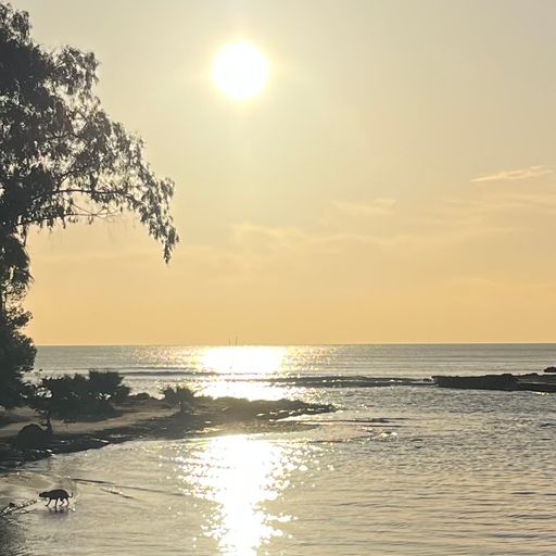 La Captura del Sonido Radio Show 20 – Daniel Peñacoba