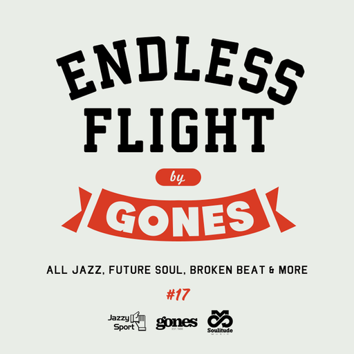 ENDLESS FLIGHT #17 (Nov. '21)
