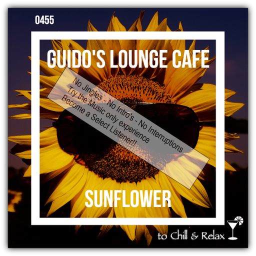 Guido's Lounge Cafe Broadcast 0455 Sunflower (Select)