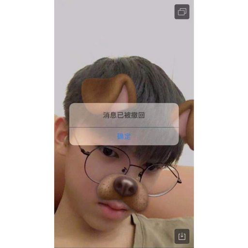 【AP0L0GIZE X 劉力揚_-_我就是這樣 X 姚智鑫_-_野狼DISC0】RMX 2K19 PR!VATE MANYA0 N0NST0P JUST F0R RYAN BY DJ'YE