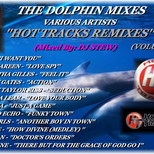 THE DOLPHIN MIXES - VARIOUS ARTISTS - ''HOT TRACKS REMIXES'' (VOLUME 31)