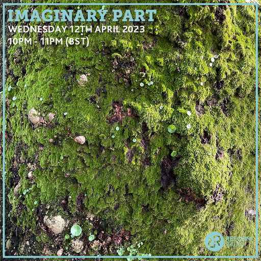 Imaginary Part 12th April 2023