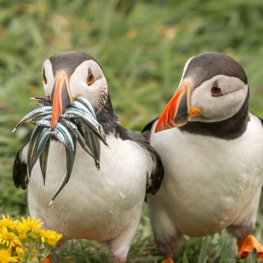 Hoxton Live w Maz x Yield N16