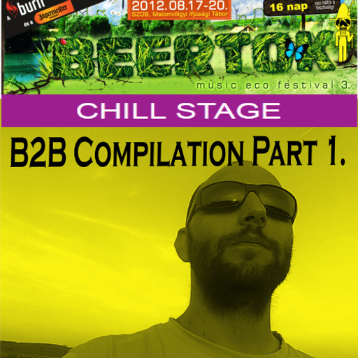 Beatinspector @ Beertok Fest 2012 - B2B Compilation Part 1