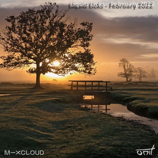 Liquid Licks - February 2022