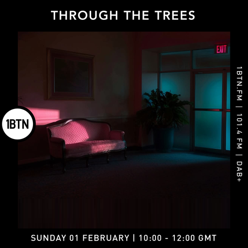 Through The Tree's w/ Ty - 01.02.26