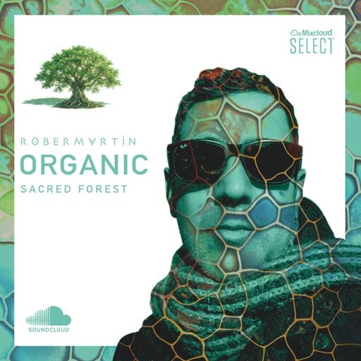 Rober Martin • Organic House - "The Sacred Forest" / March 2026