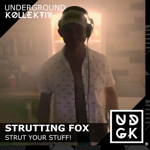 Strutting Fox - Strut Your Stuff! (UDGK: 08/06/2025)