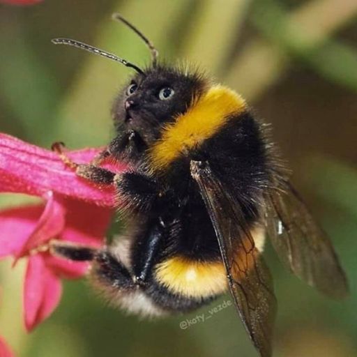 Phil West - Spring-Summer 2020 - Trippy melodic prog/tech/house.  Bedrock, Polo & Pan, Mark Knight