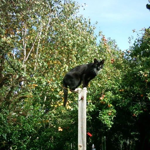 Nigel James live - Laser Hot Hits International - The Shortwave Legend Sunday June 16  2019