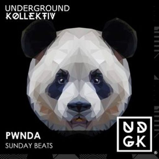 pwnda - pwnda - Sunday Beats - Springing Back (UDGK: 01/03/2026)