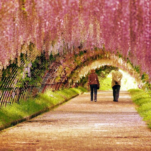 Spring Spirit Soul