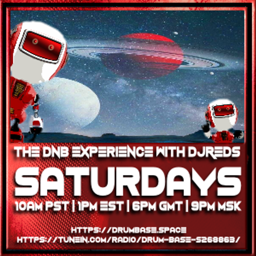 the dnb experience 160319