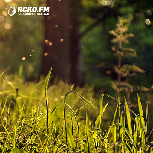 Zenit Incompatible - RCKO Midday mix (2015.01.19)