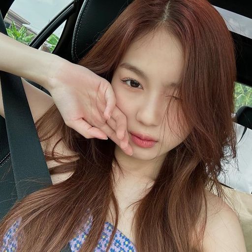 Chinese REMIX 2024 VIP