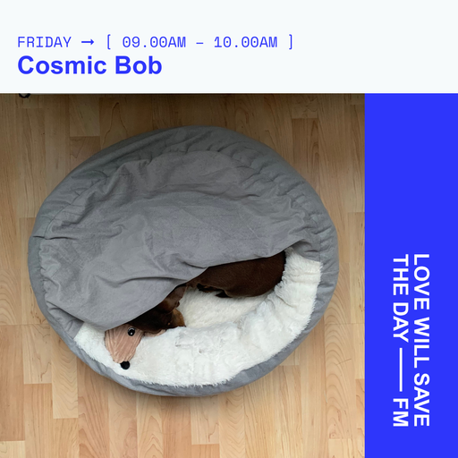 2025-01-10 Cosmic Bob | LWSTD-FM
